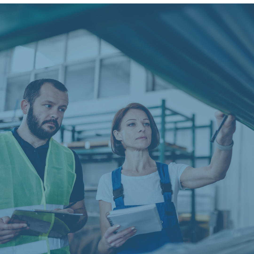 webinar hse dvr marzo 2025
