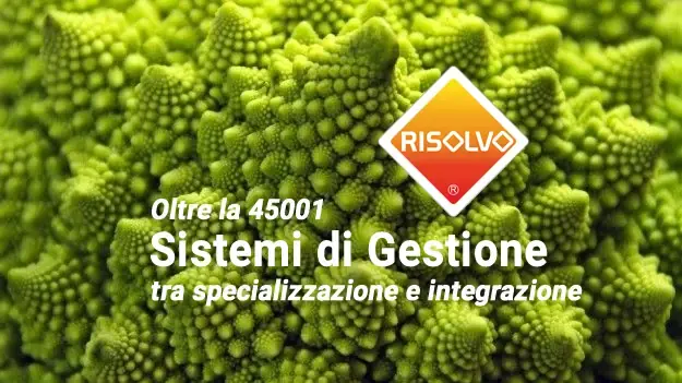 Sistemi di gestione: specializzazione vs integrazione (oltre la 45001)